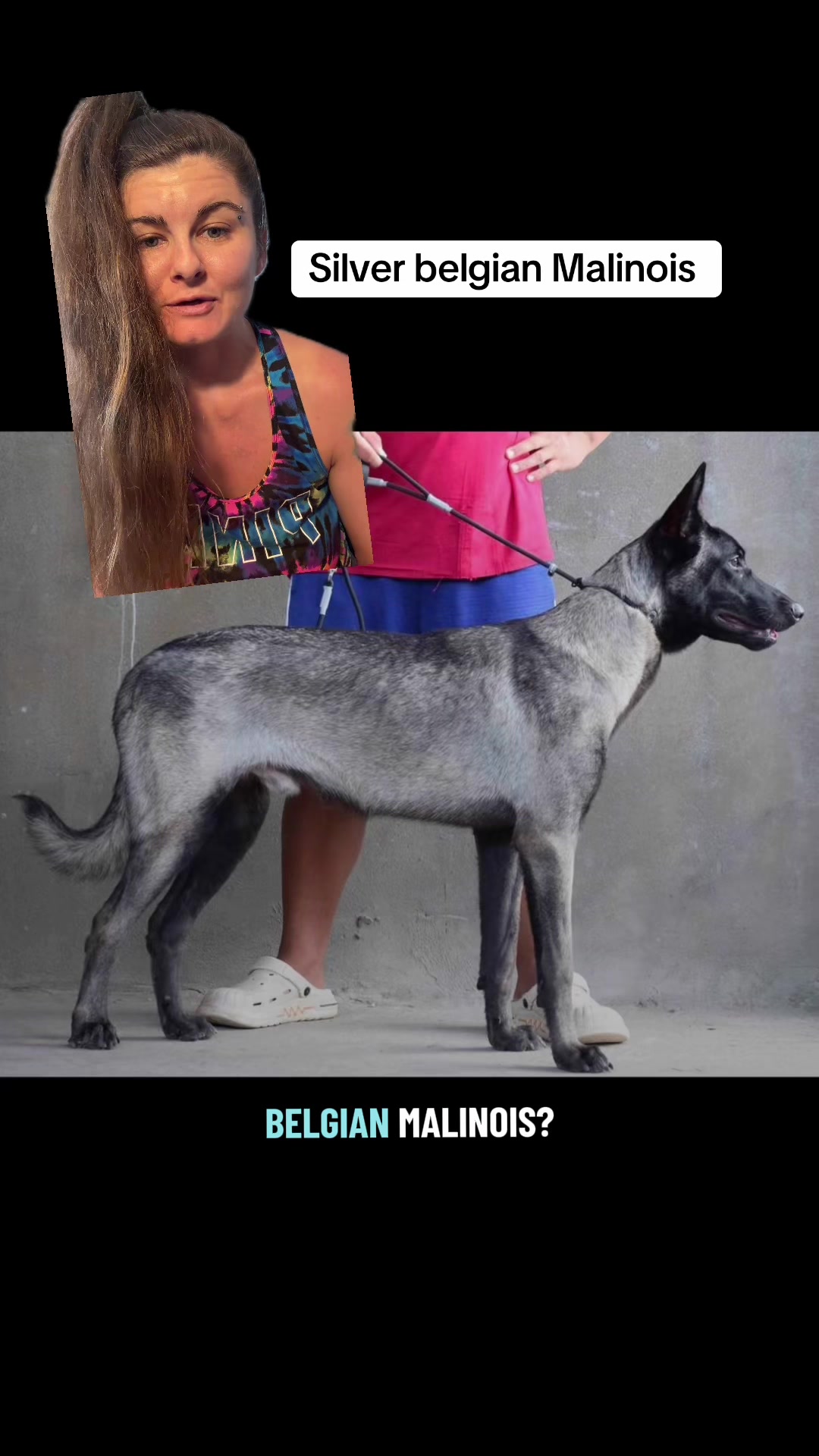 @Jess Shark🐾DOG PACK🐾