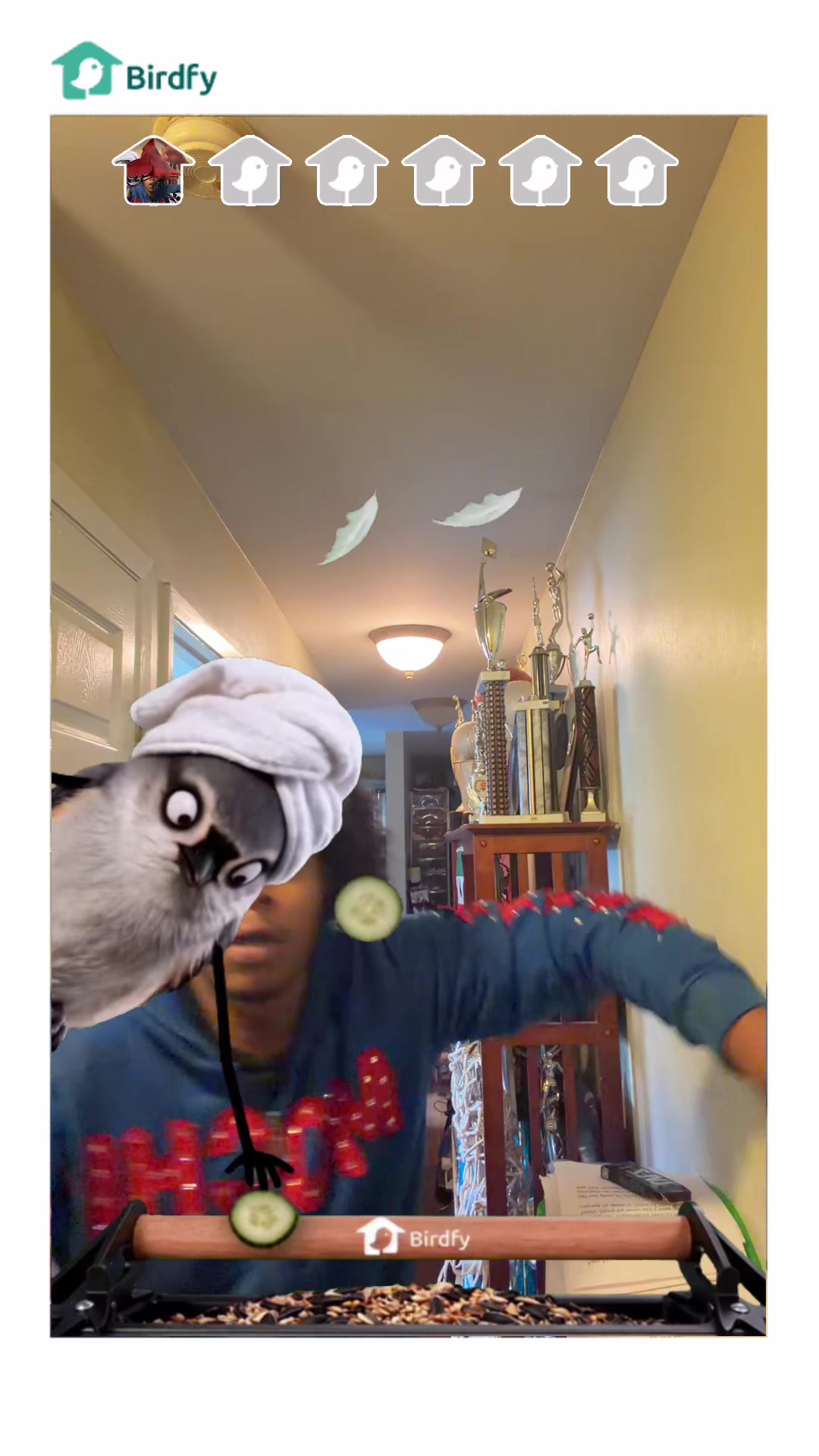 @JoJo B