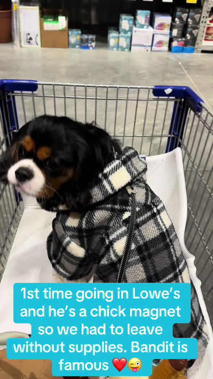 @BurrBabies4