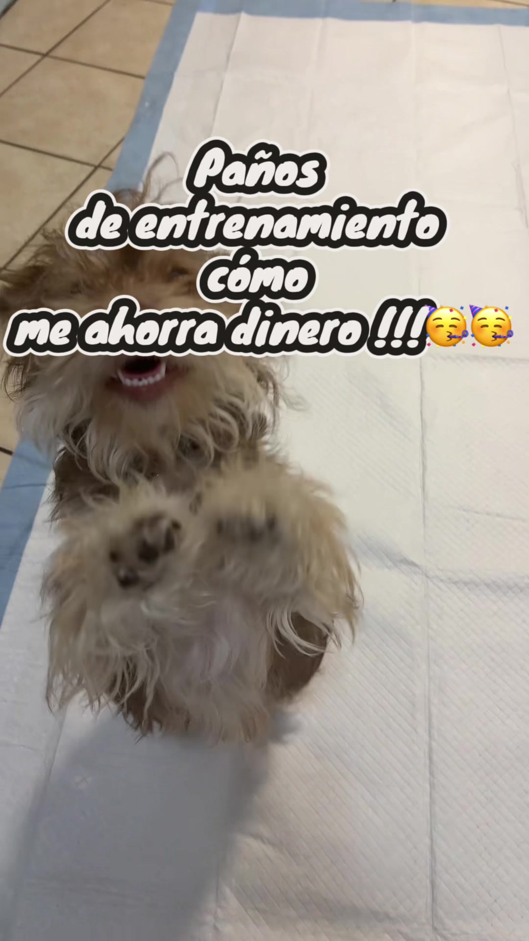 @𝘚𝘢𝘩𝘪𝘭𝘺 𝘱𝘢𝘯𝘢𝘤𝘰