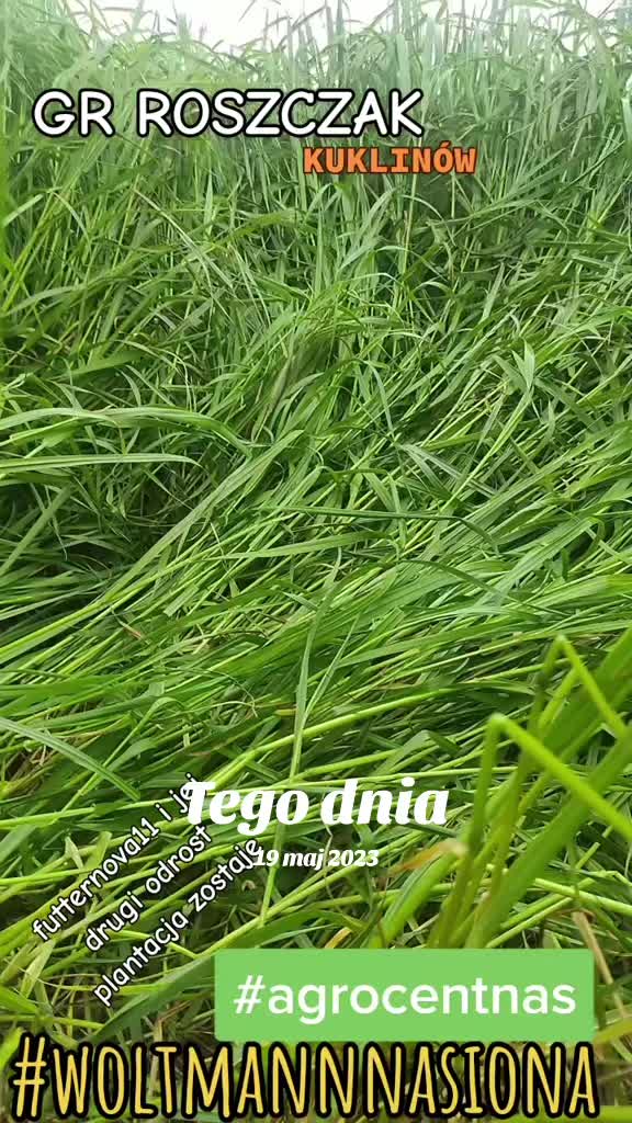 @WOLTMANNNASIONA