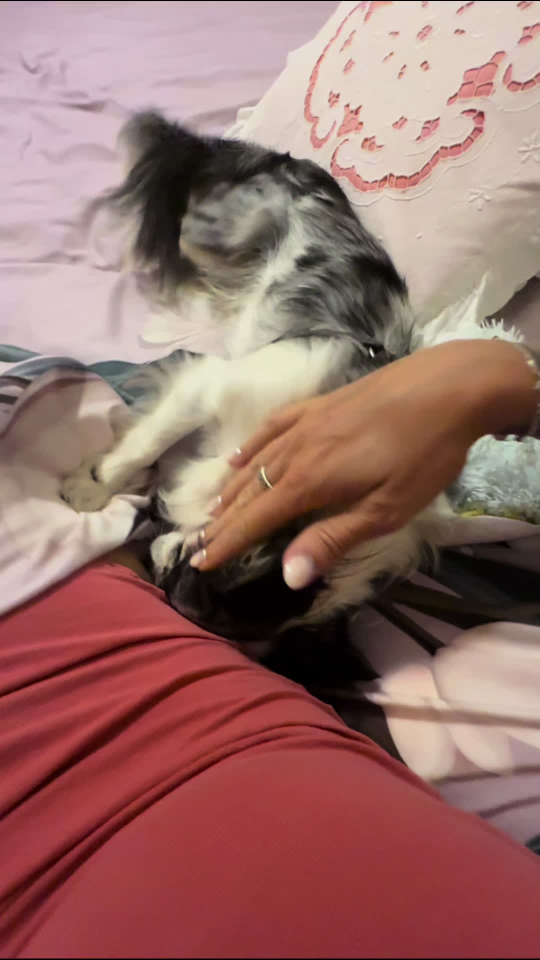 @Giuly