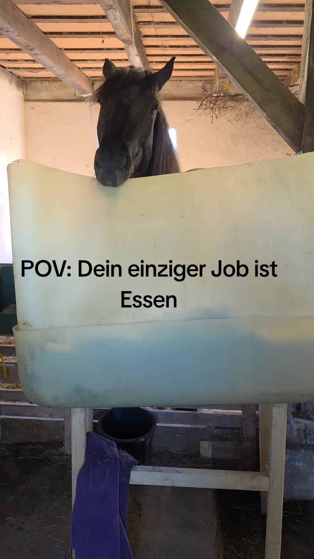 @die_van_fresserinchens