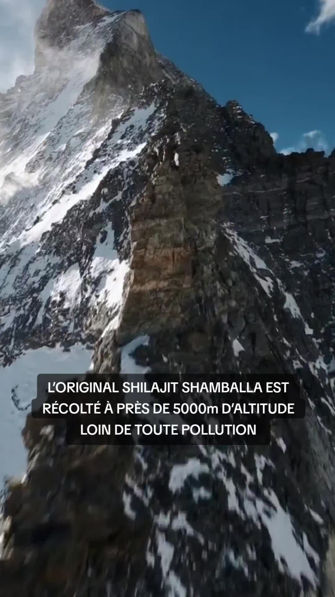 @SHAMBALLA®️ Shilajit