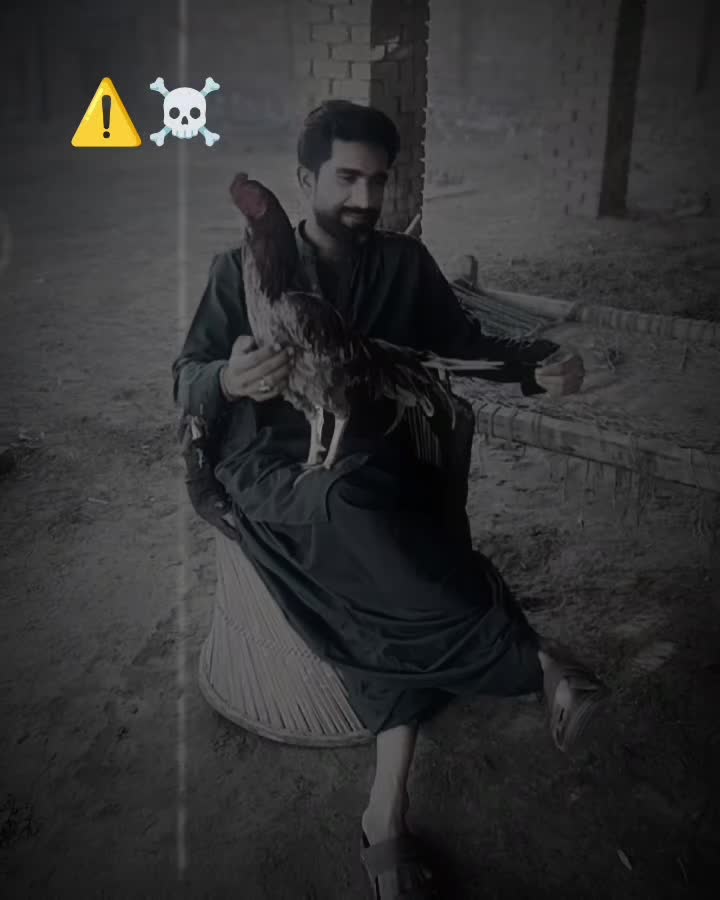 @Meer Taswarali⚔️⚔️🚩🚩