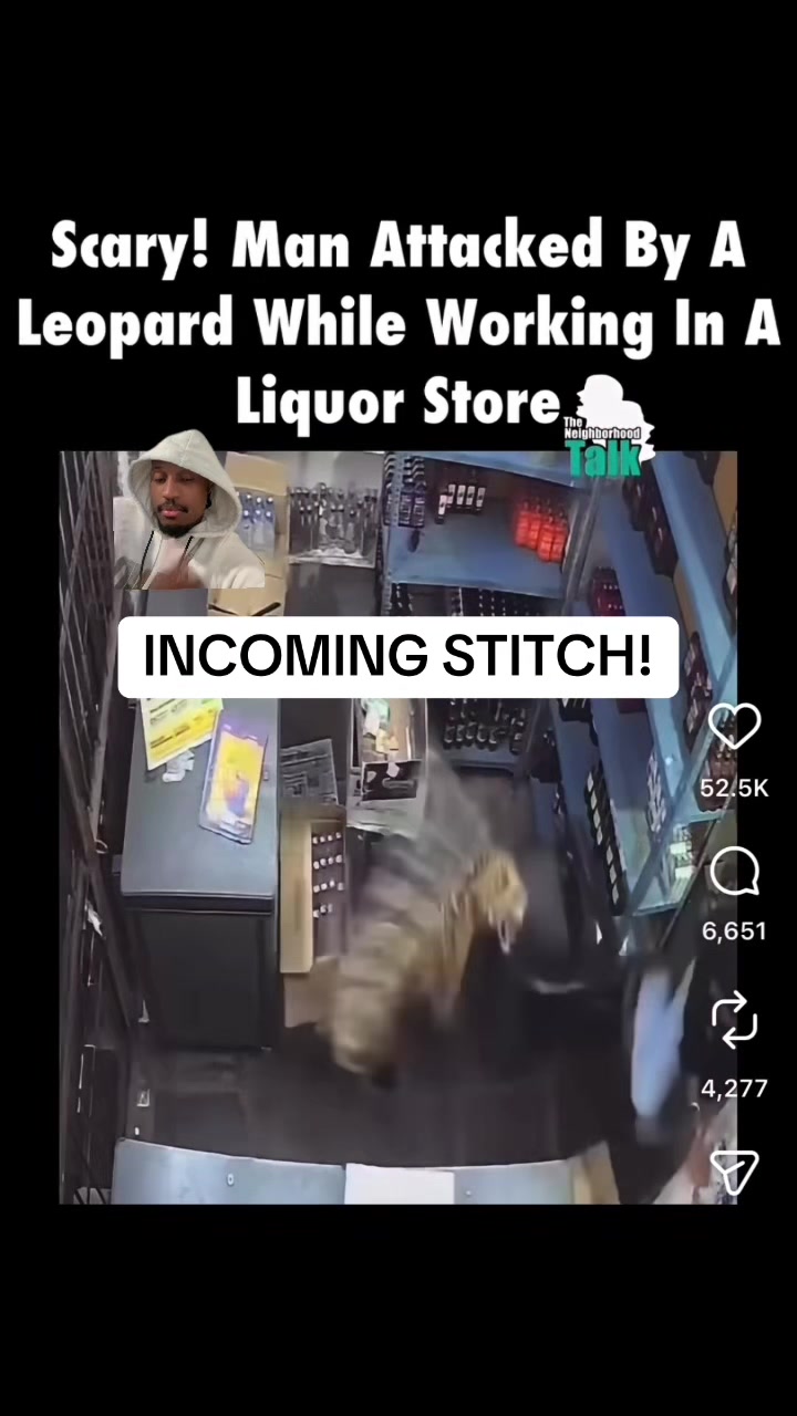 @ControversialShannon