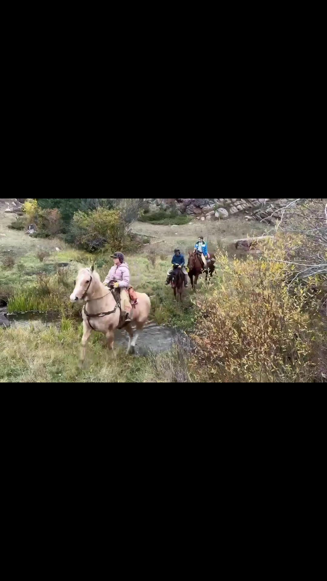 @88 Ranch Performance Horses