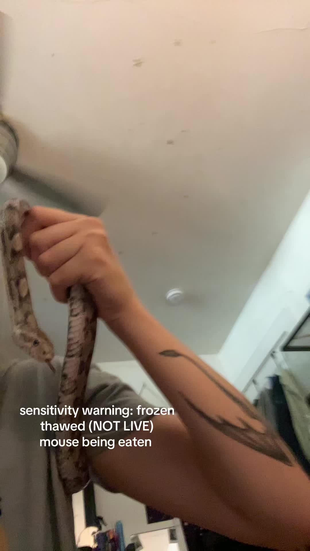 @K McConnell