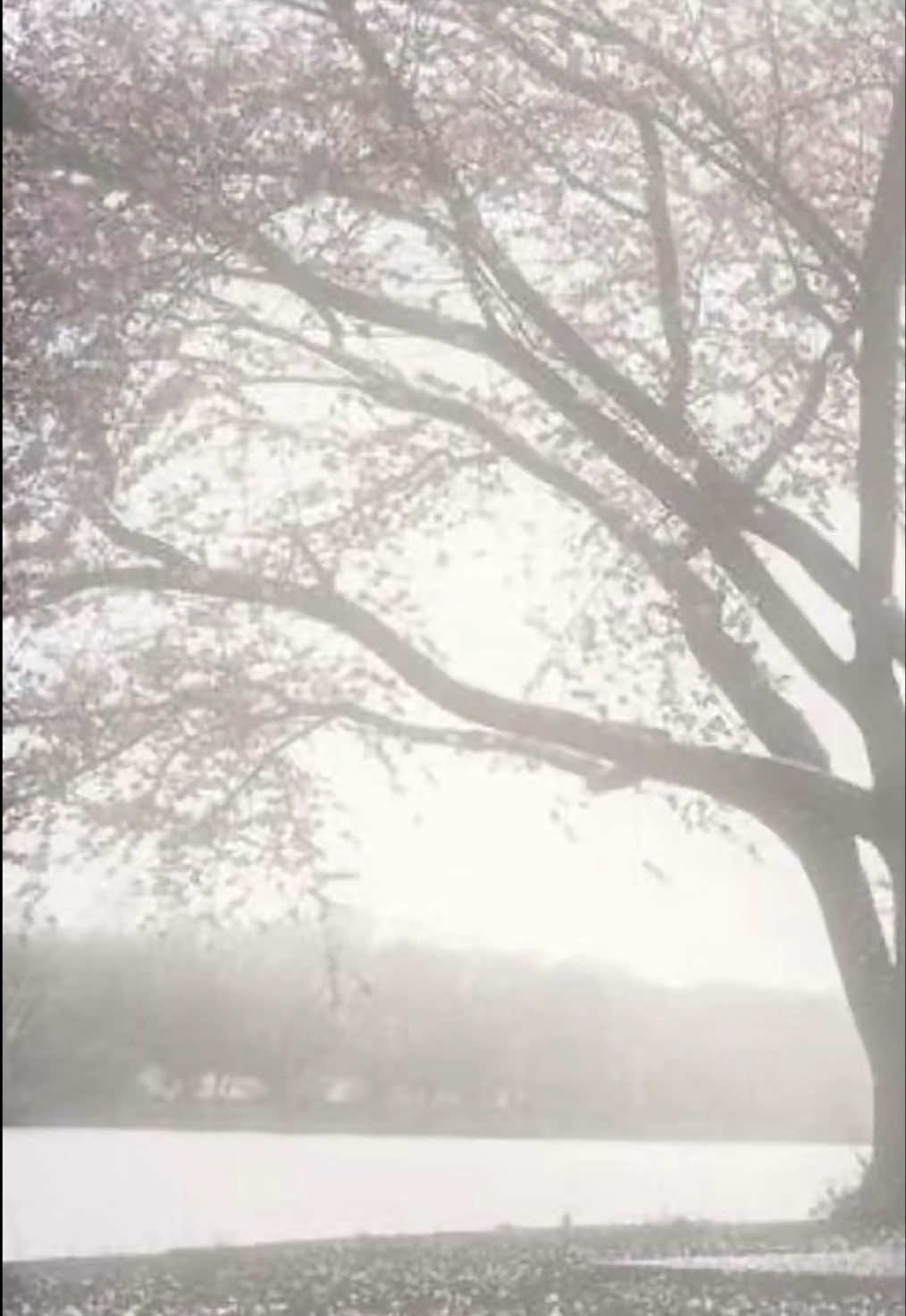 @𝒶𝓋ℯ𝓇𝓎|| 𝓂ℴℴ𝓉 𝓂ℯ 🪽