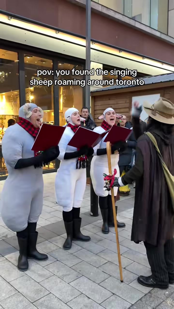 @Jejuclasus