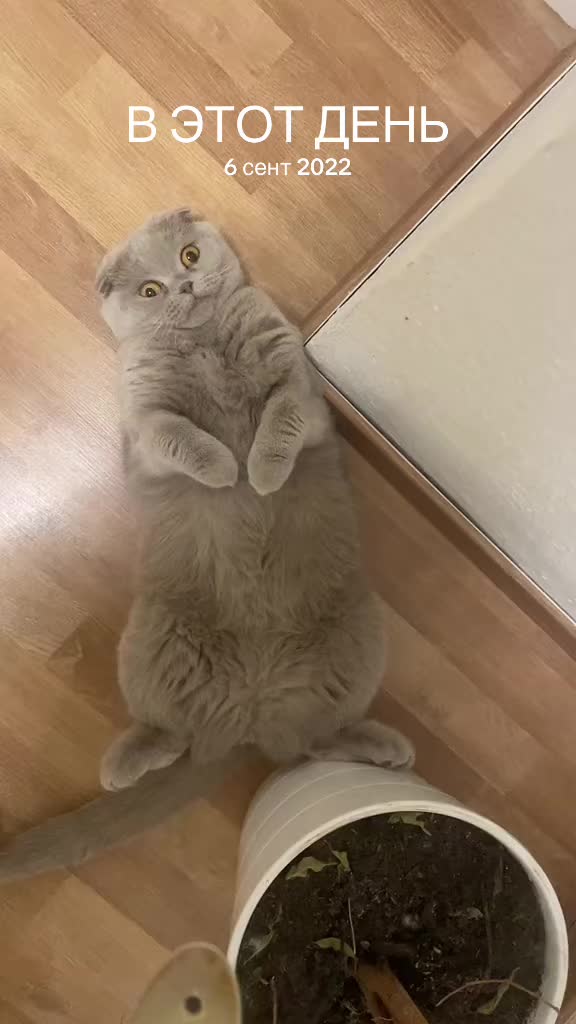 @Анна