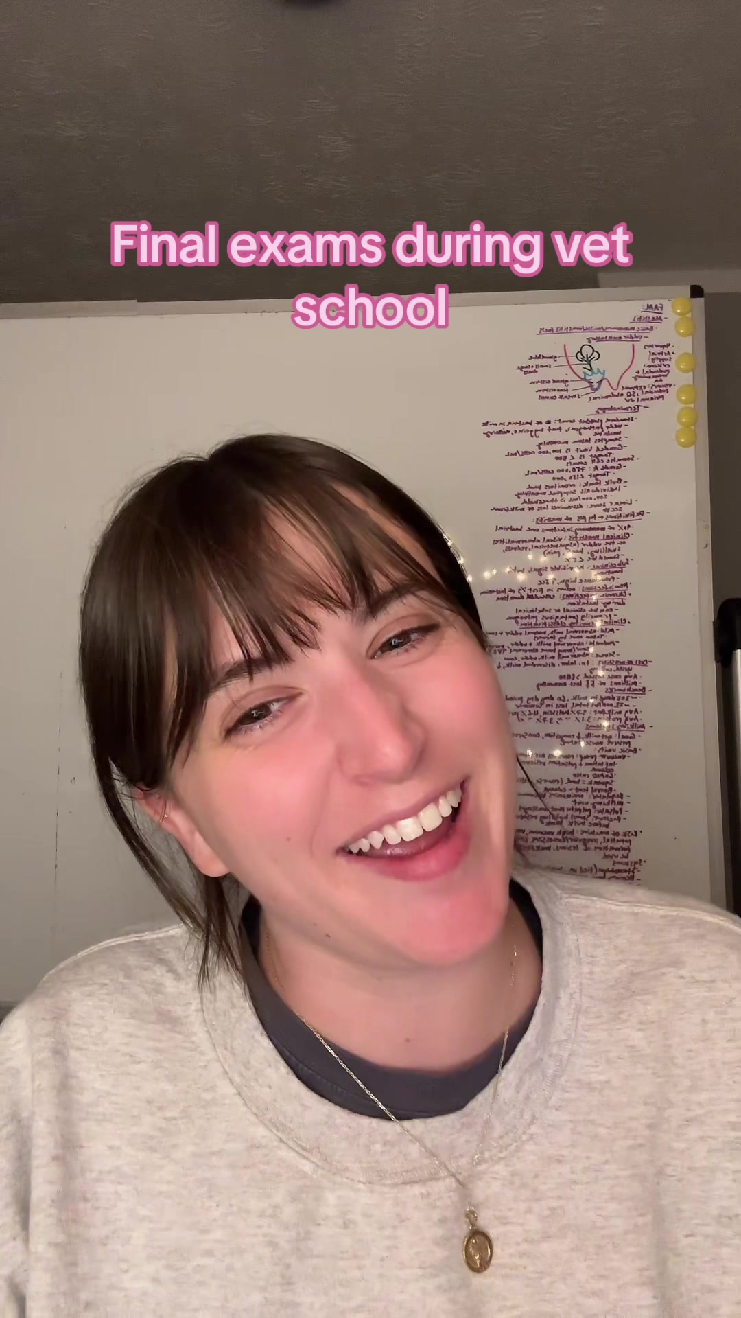 @futuredoctormegdvm