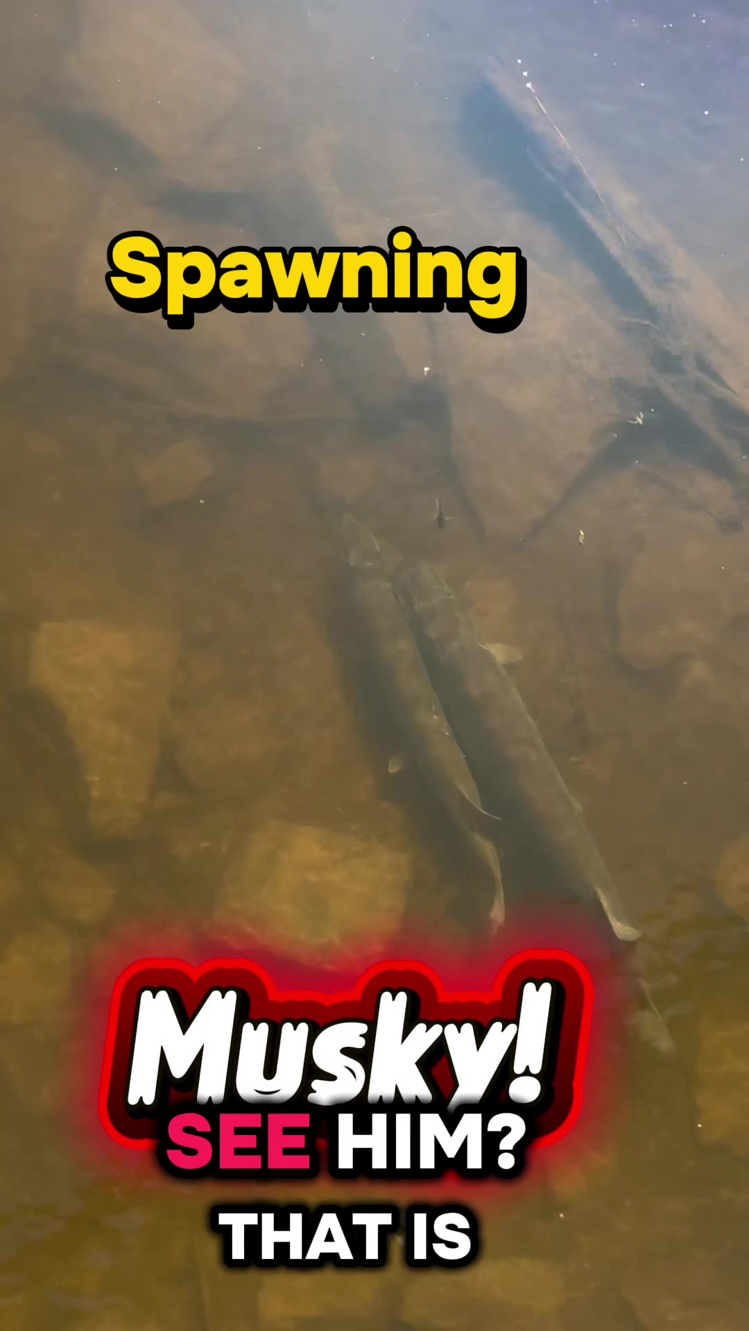 @ChrisFishOutdoors