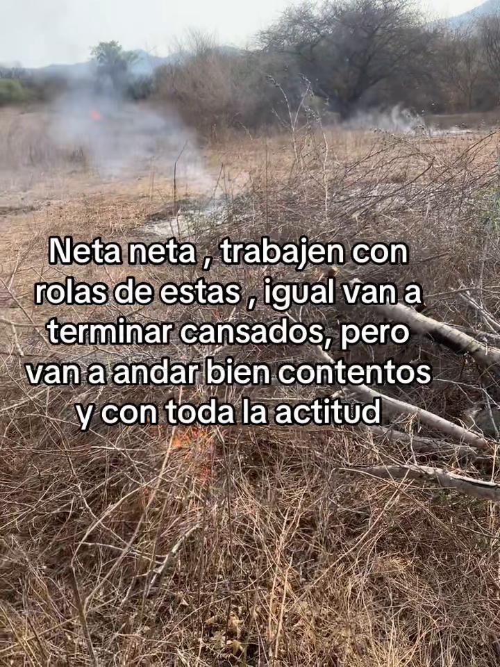 @juan_renteria1
