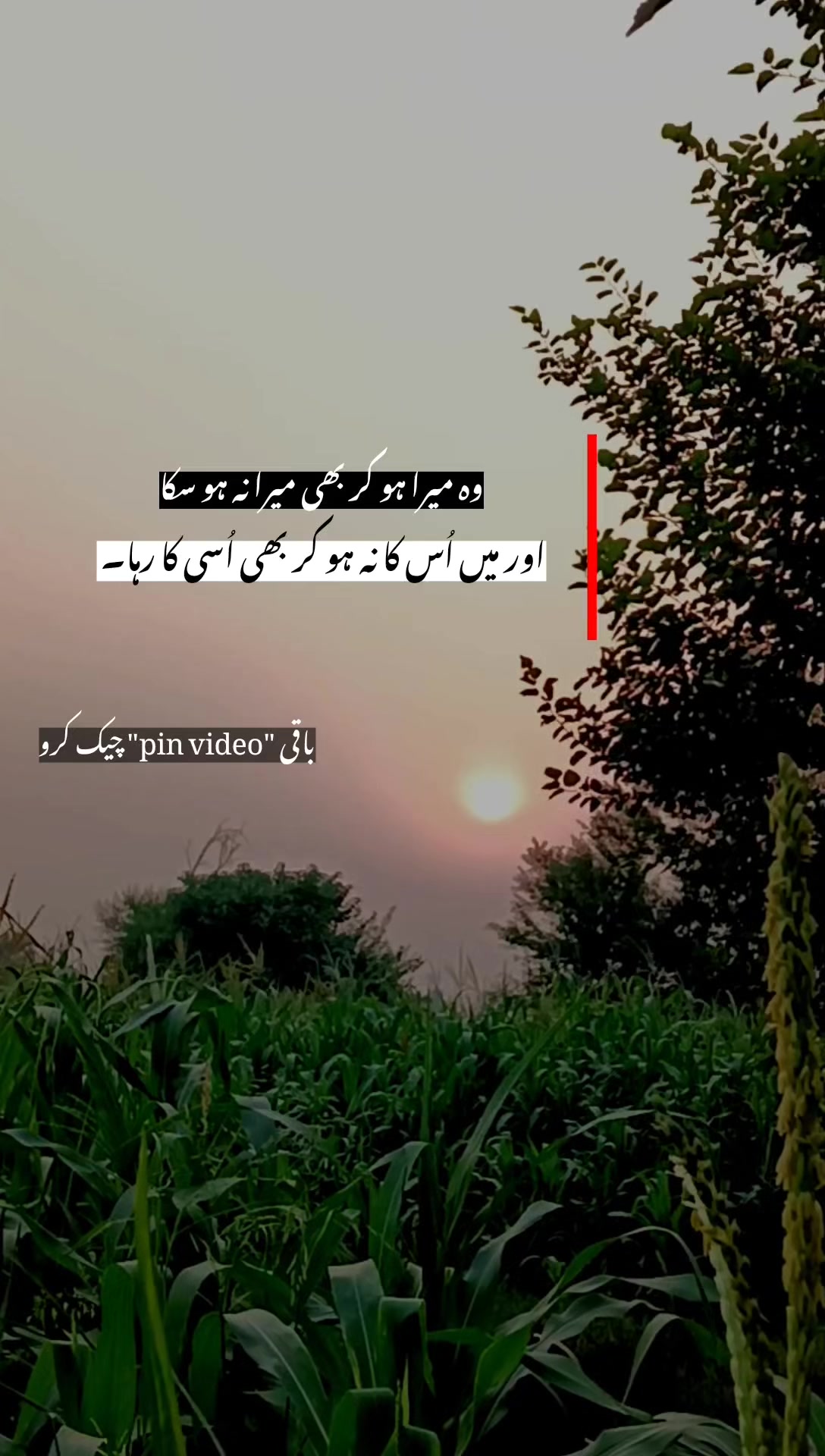 @عدنان♡