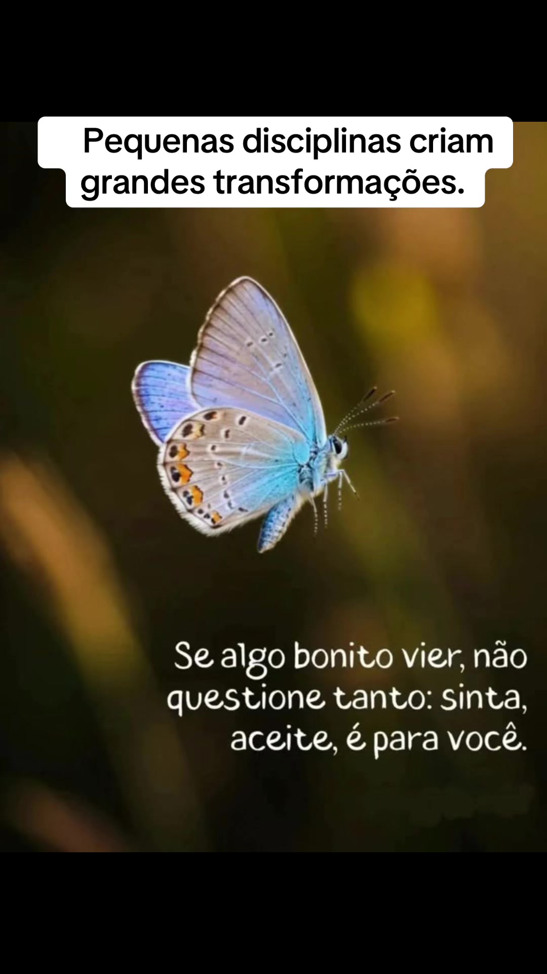 @Gracilda