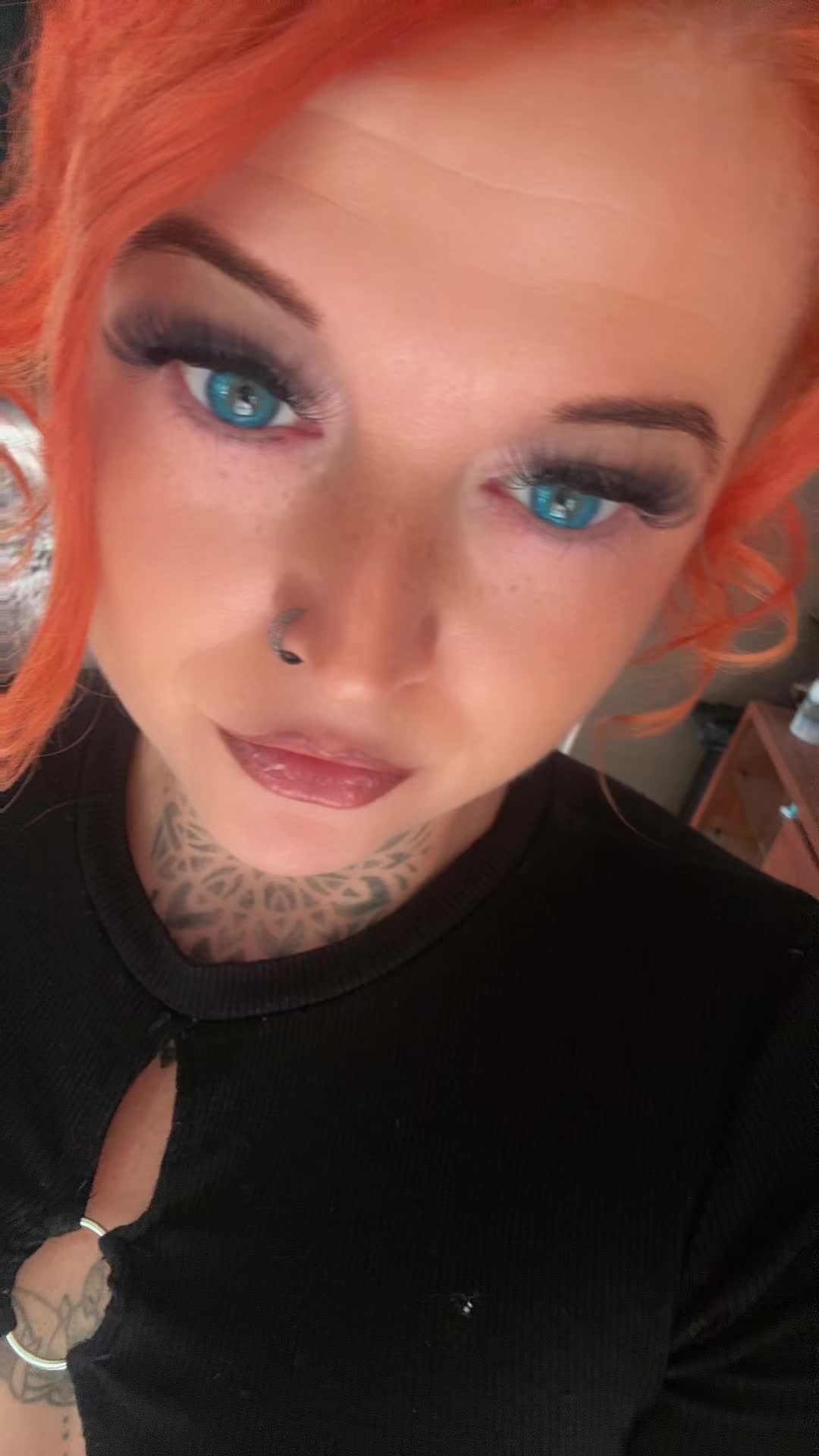 @Fynixia 🦊Fuchsi🦊