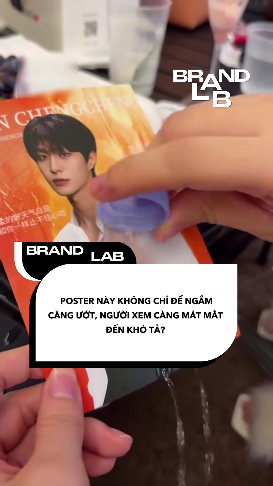 @BrandLab