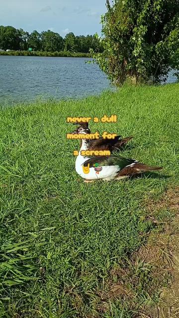 @stacey leigh🏳️🌈♀️♎