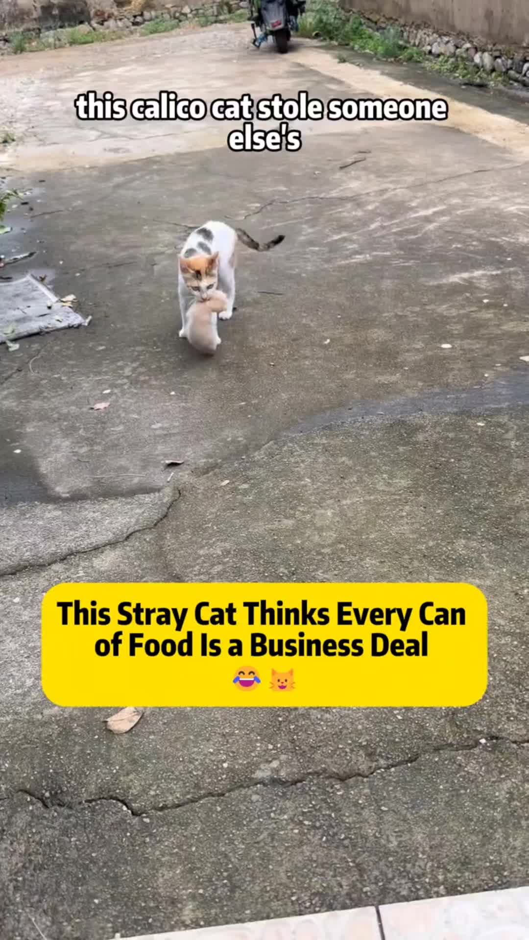 @Short&Sweet143