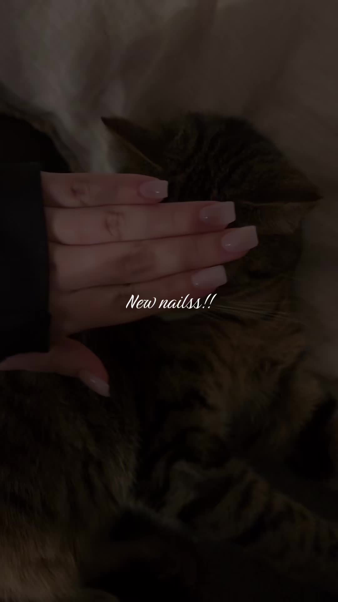 @nayeli❤︎︎