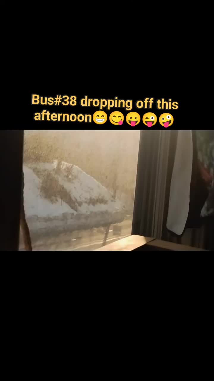 @Shy bus#37 Love you Ms. kellie