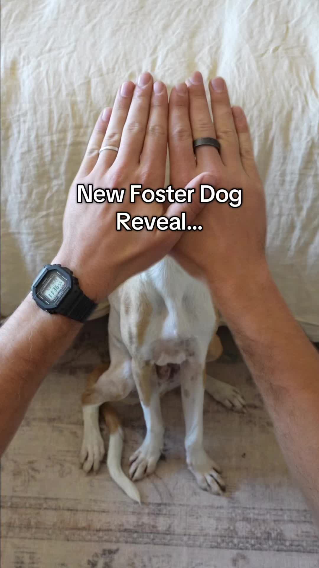 @Keepingfinn