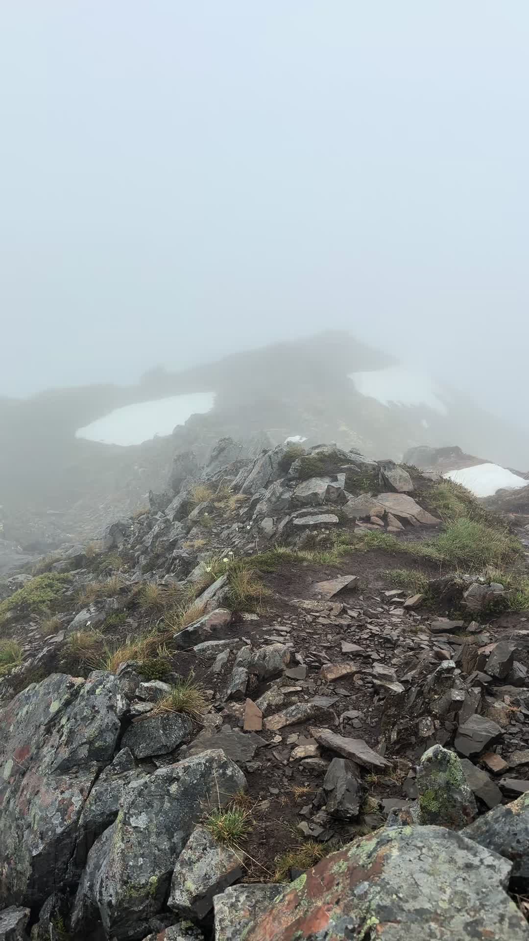@Skye vibe