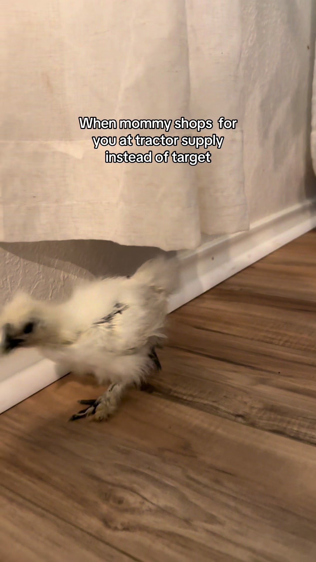 @Tess at Home