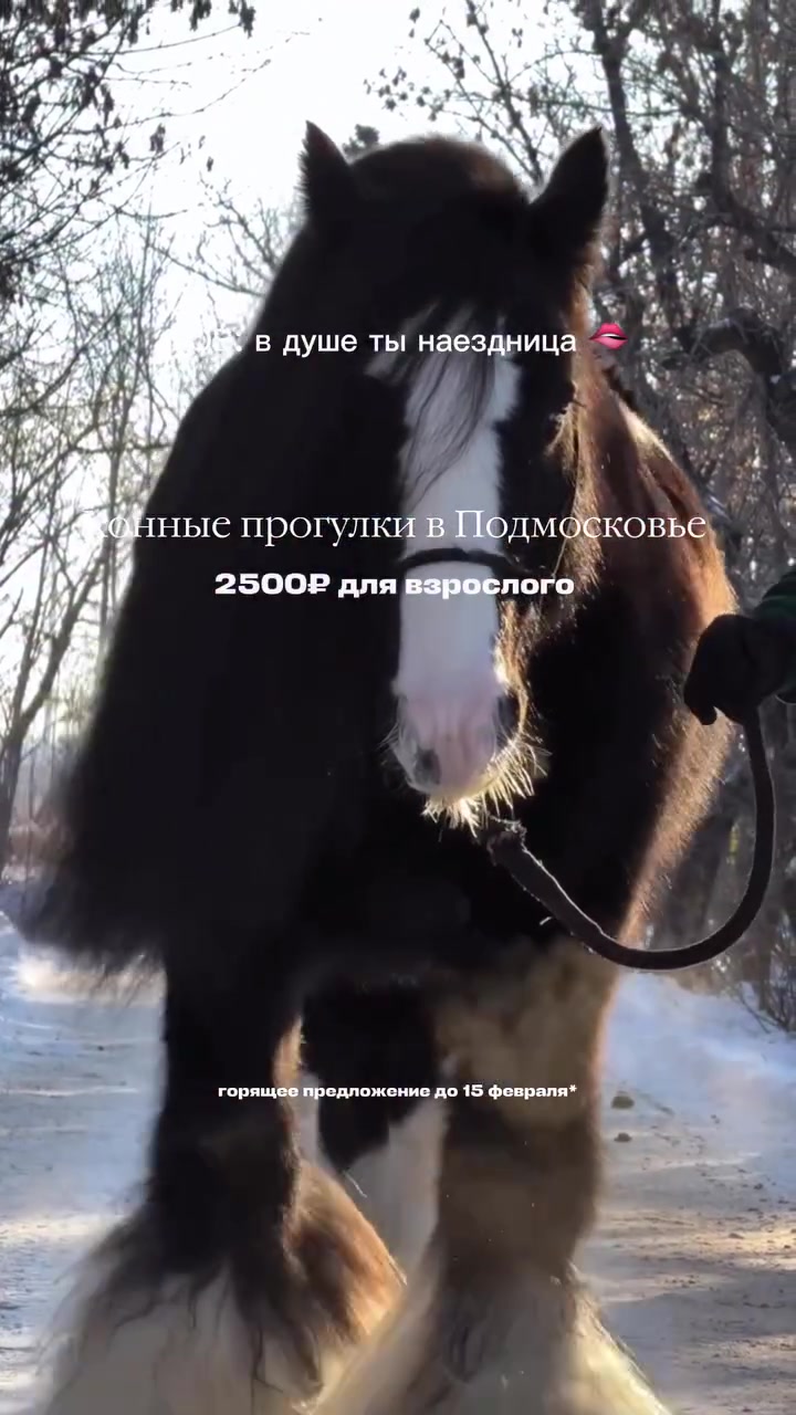 @📍 МЕСТА В МОСКВЕ