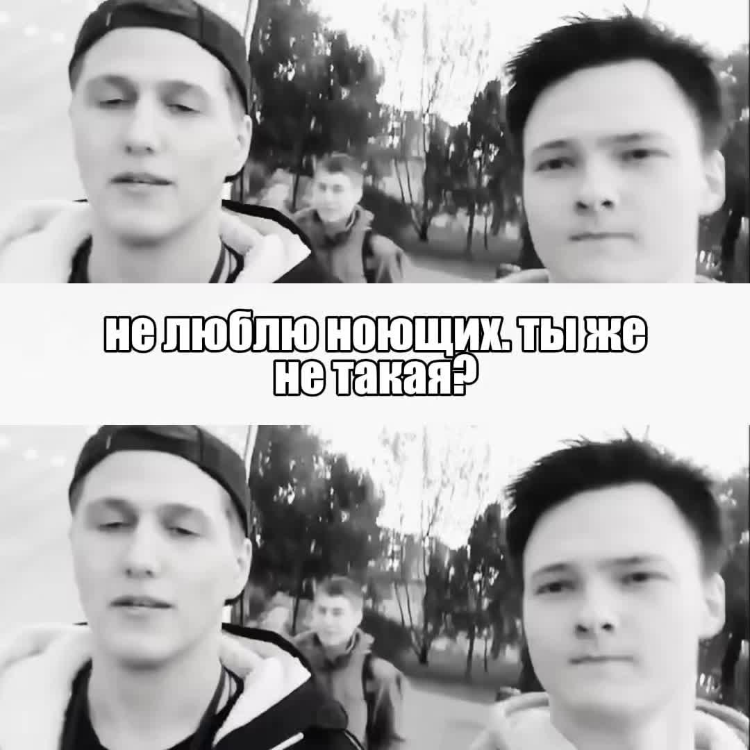 @мс полинк