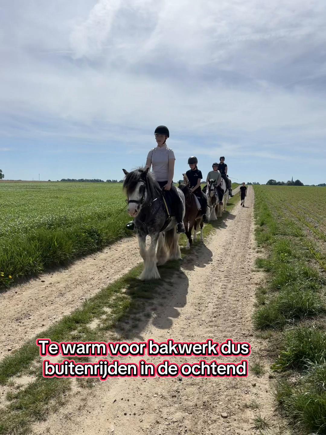 @Syrche Cordewener