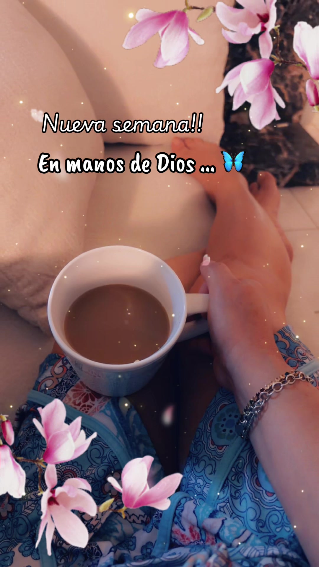 @klausber..🦋