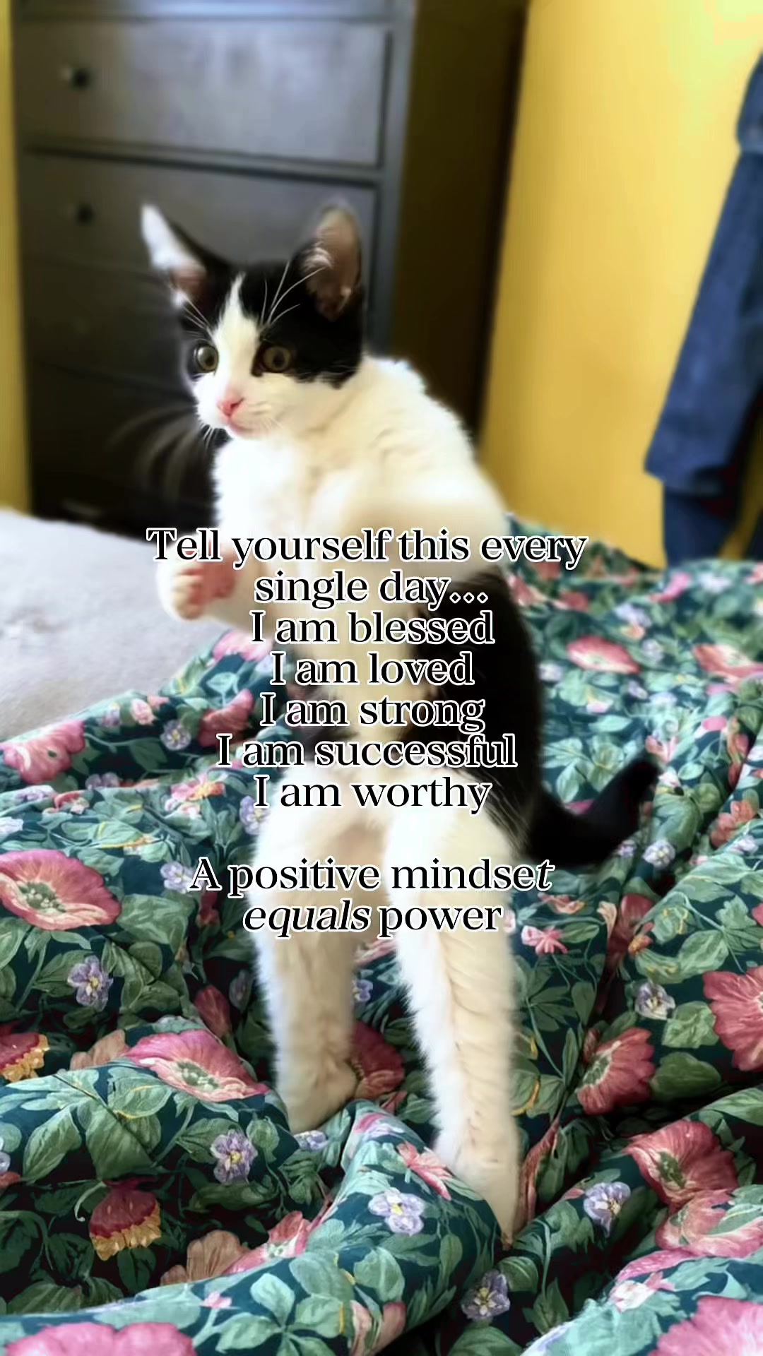 @pamfromcanada