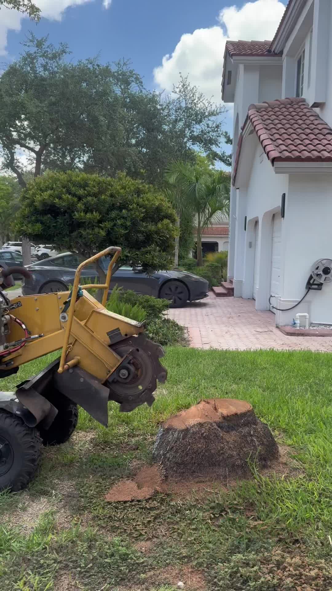 @Franco Tree Service Pro
