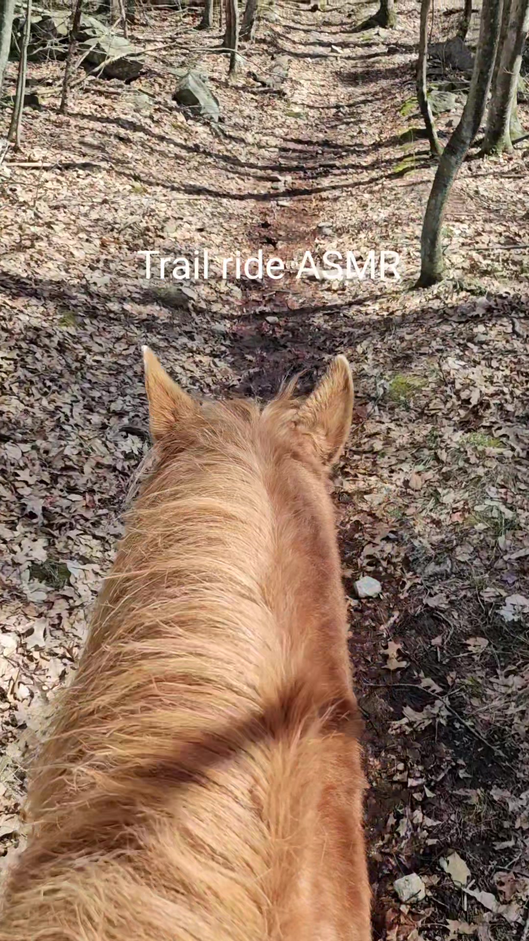 @Beth - Epona Media