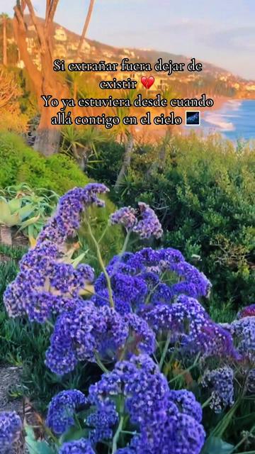 @🌻👑LAU🦋74V👑🌻