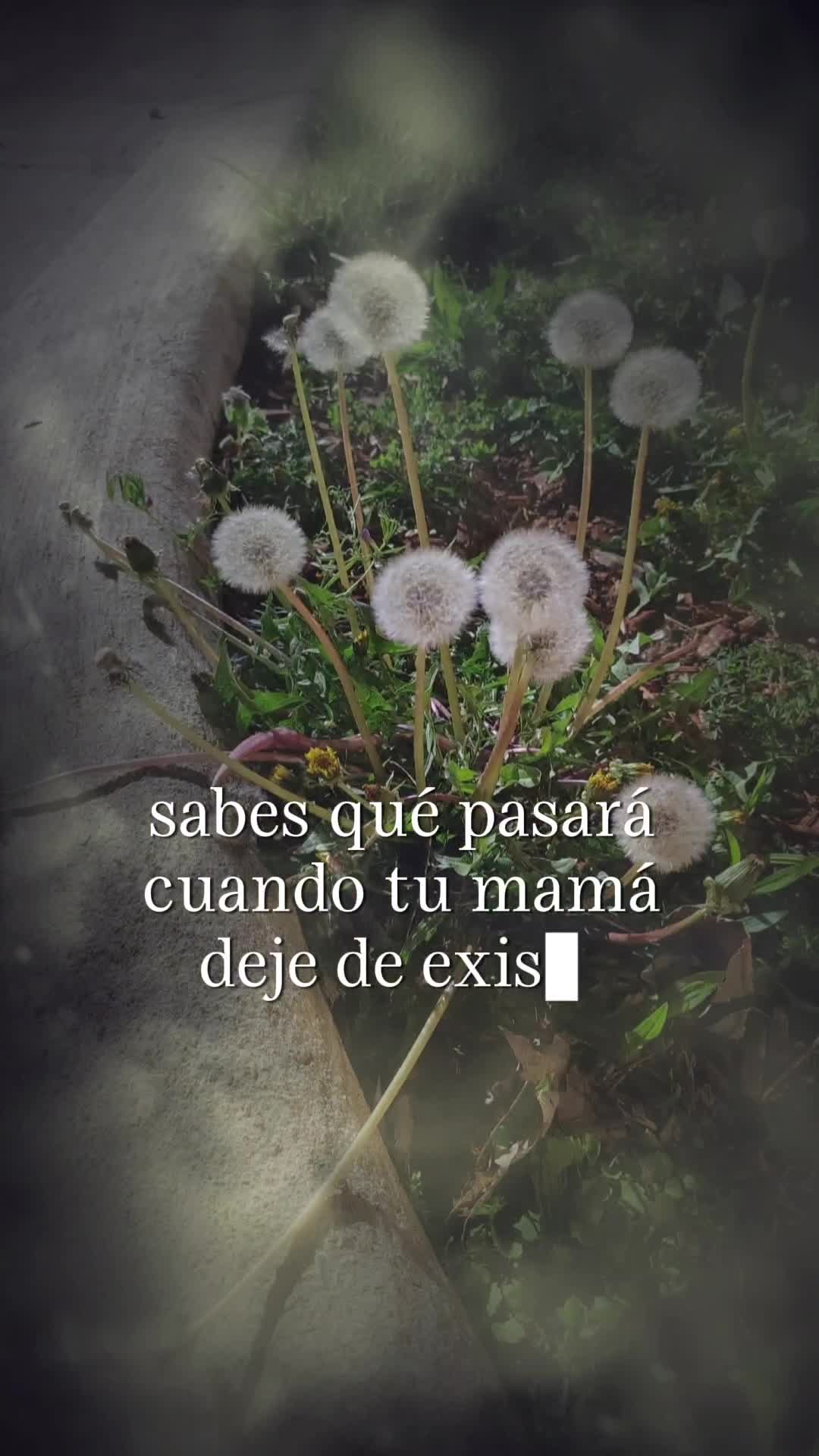 @🫂🐾☕♉️Masiel🫶 ⩜⃝🌈🦩