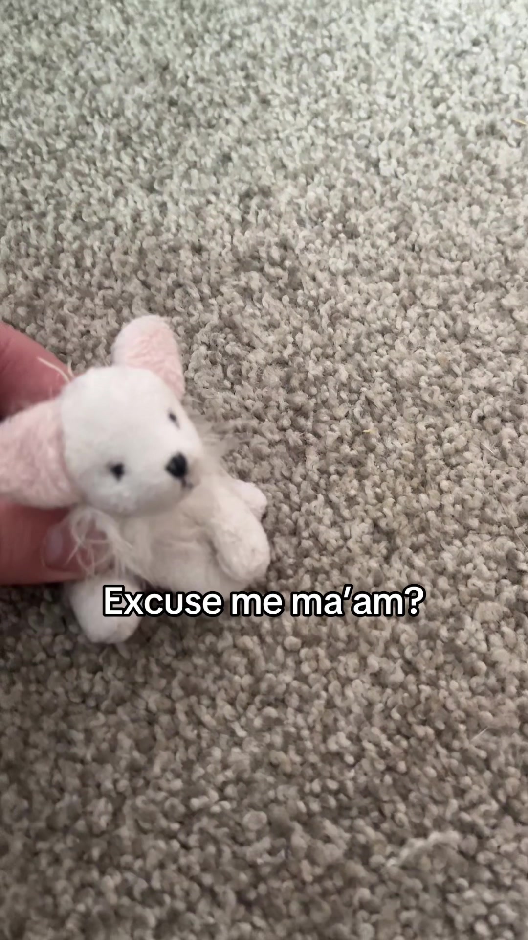@The REAL LunaKittyfox