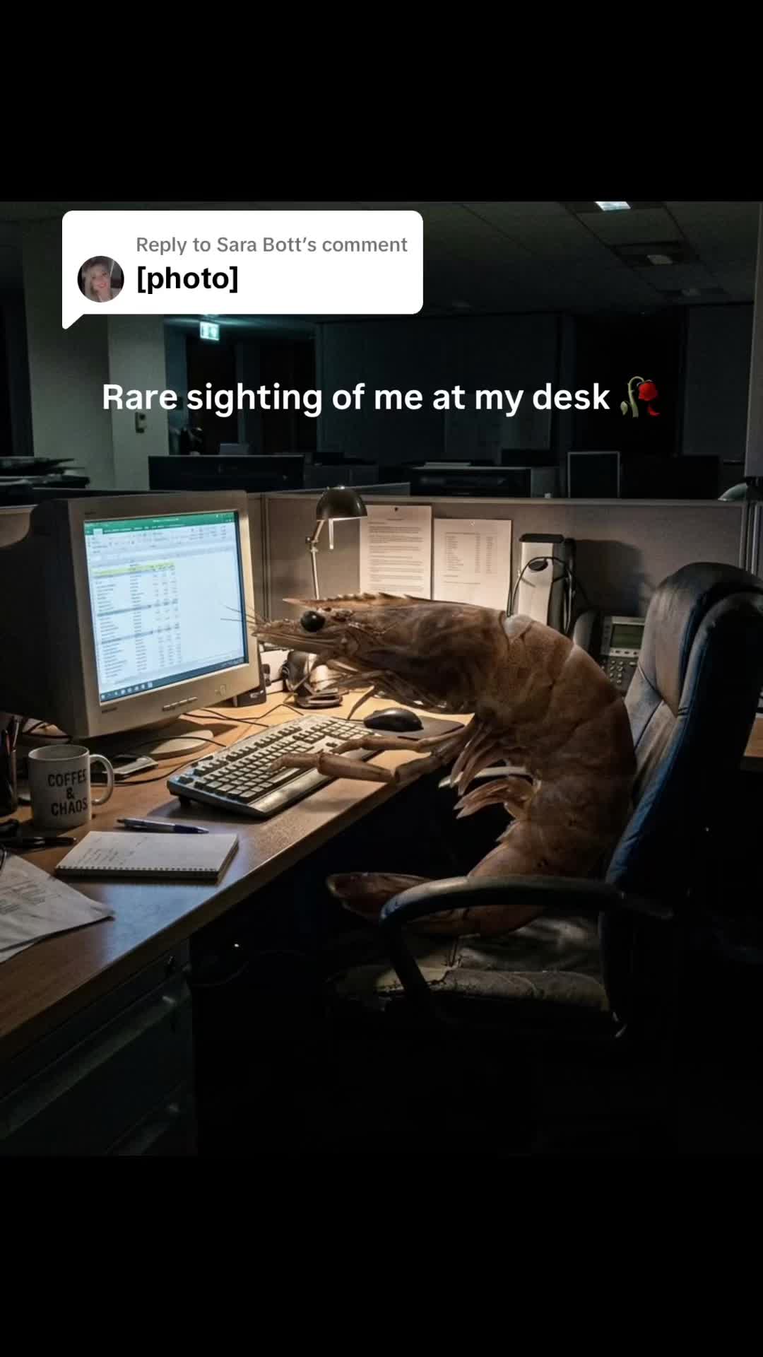 @Indeed
