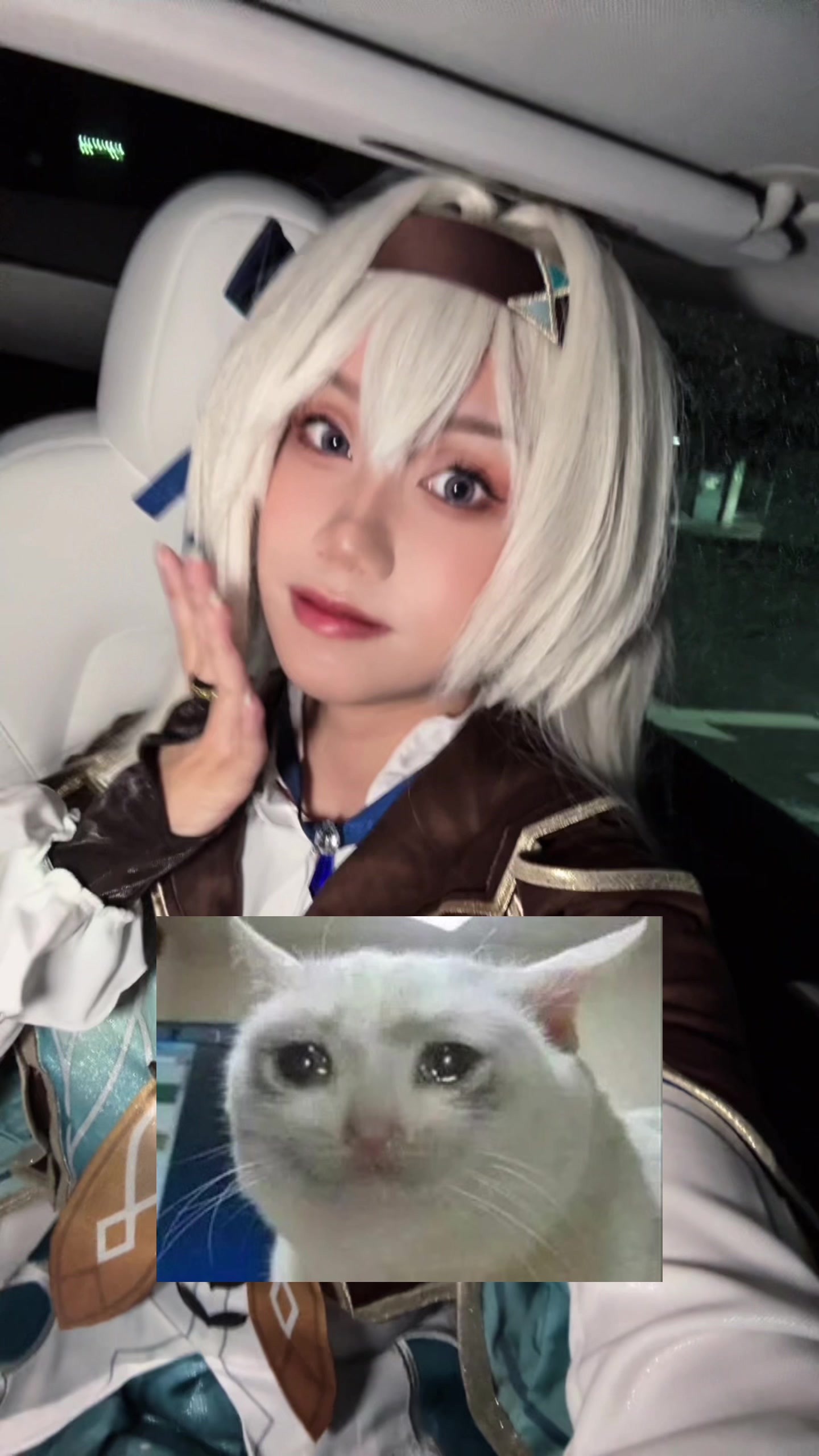 @cat(weeeni)