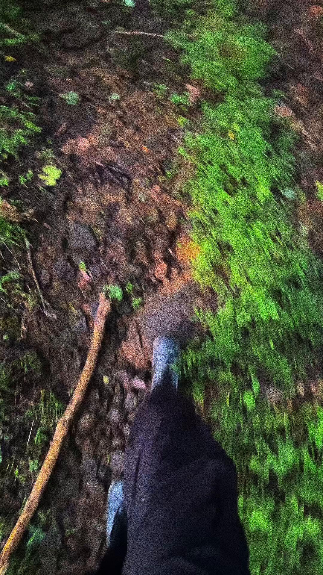 @Backyard Appalachia