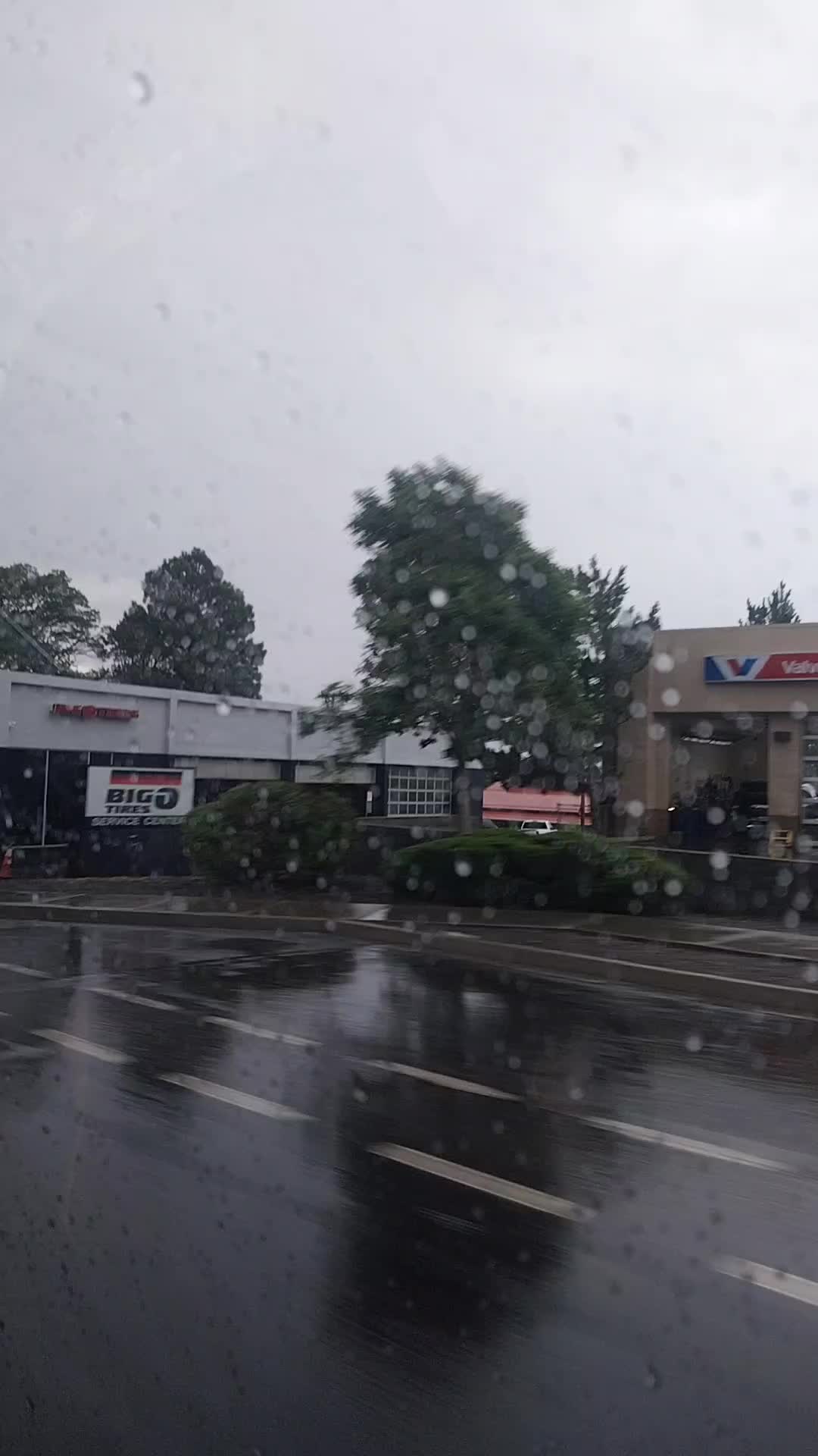 @Tito Zamora