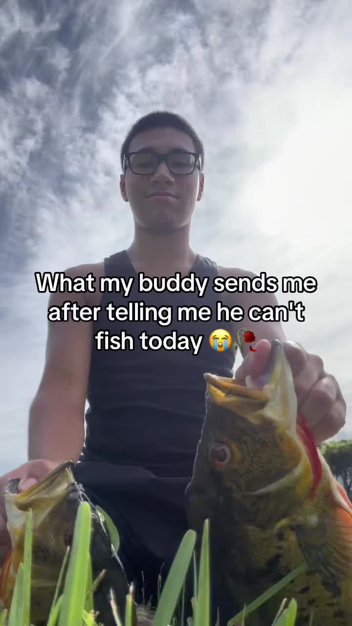@Shark Boy