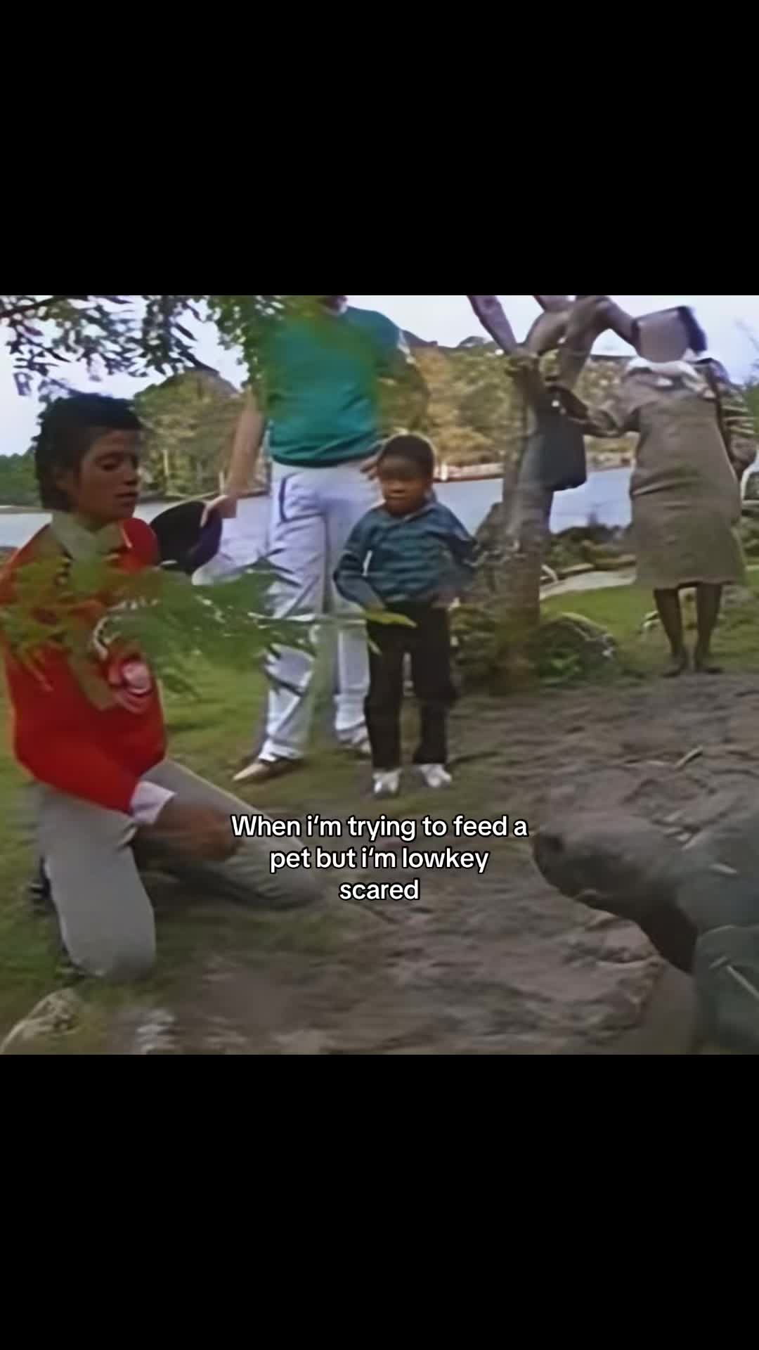 @mjfan