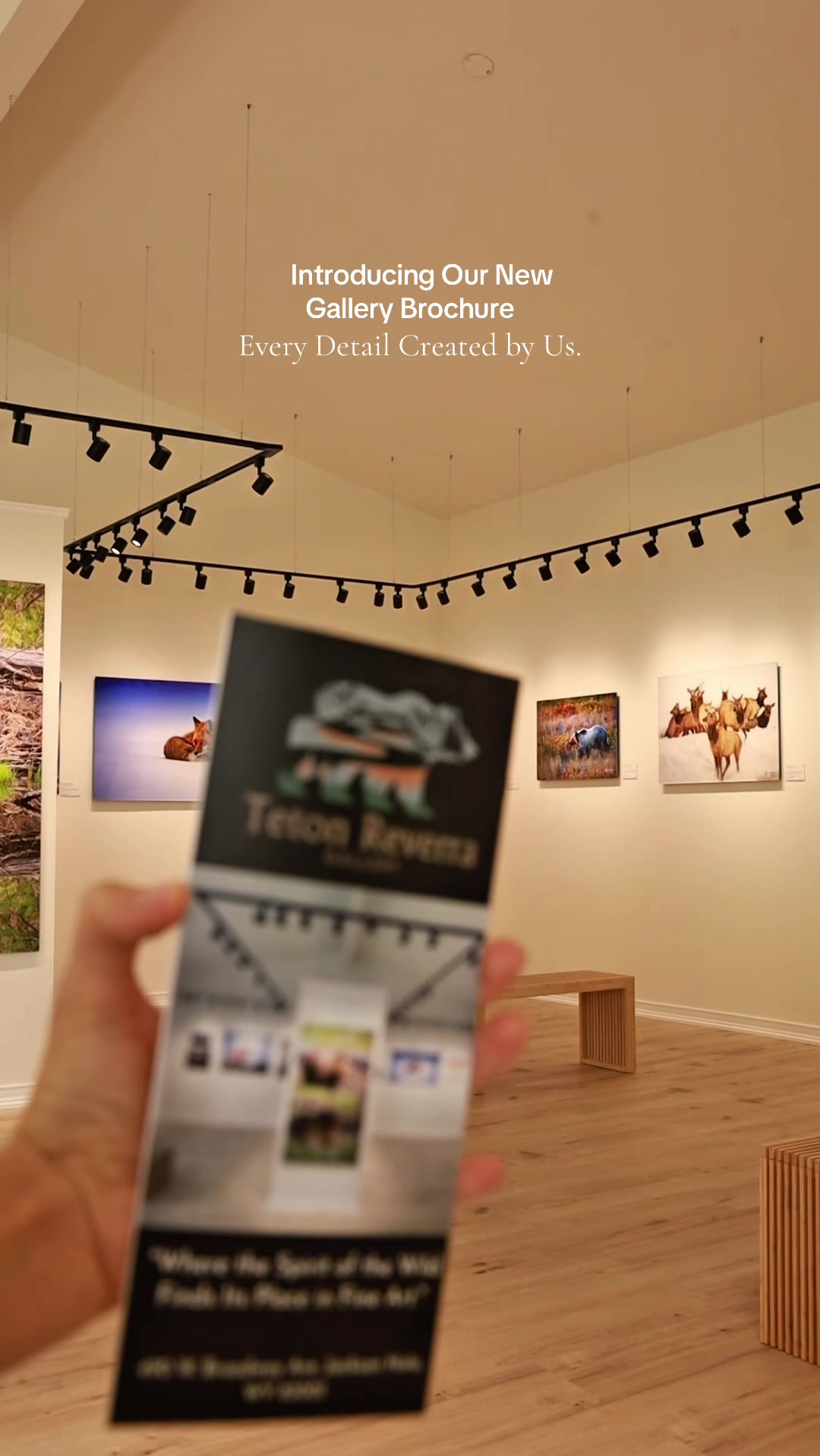 @Gallery Teton Reverra