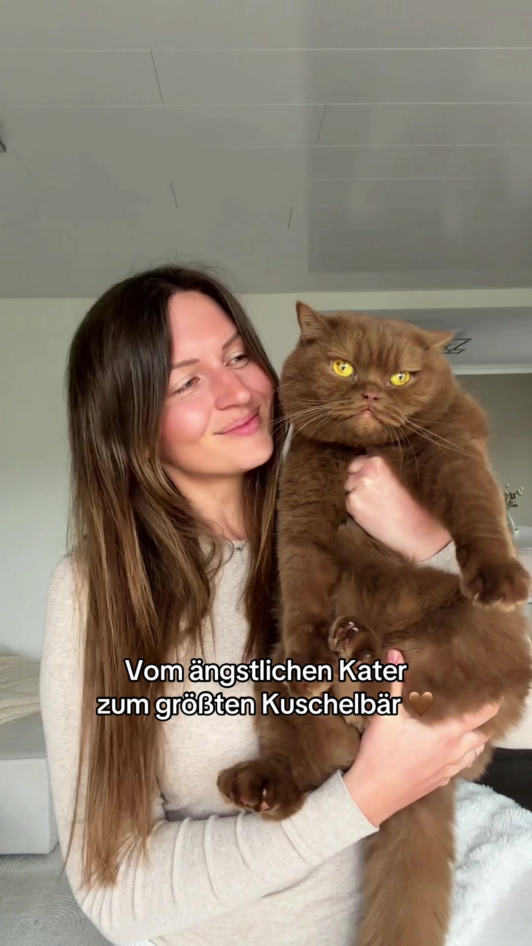 @Sinascolorcats