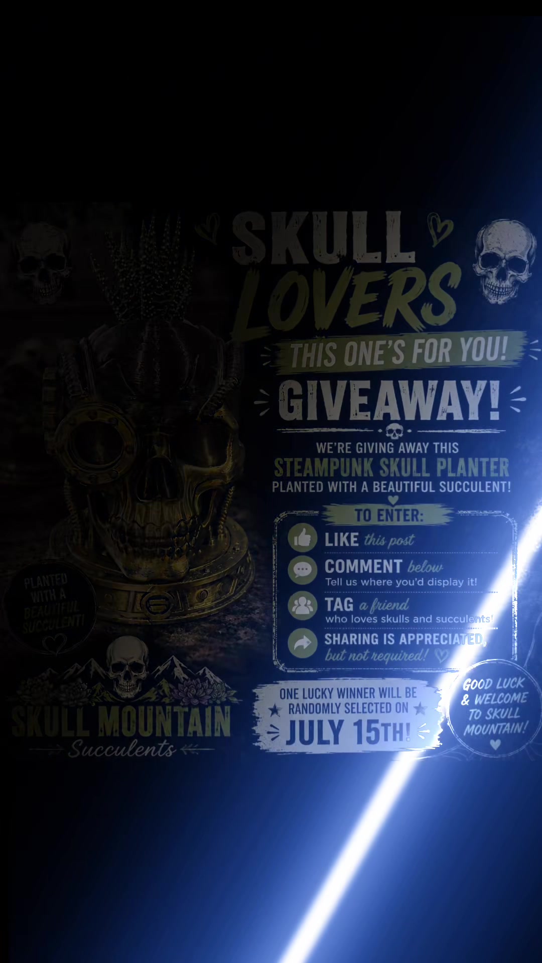 @Skull Mountain Succulents