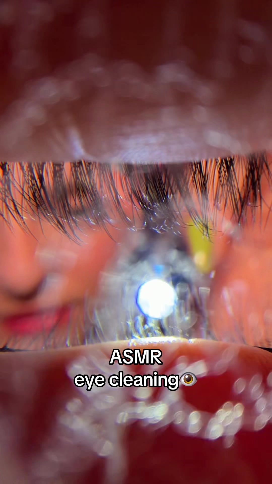 @ASMR Lisandra