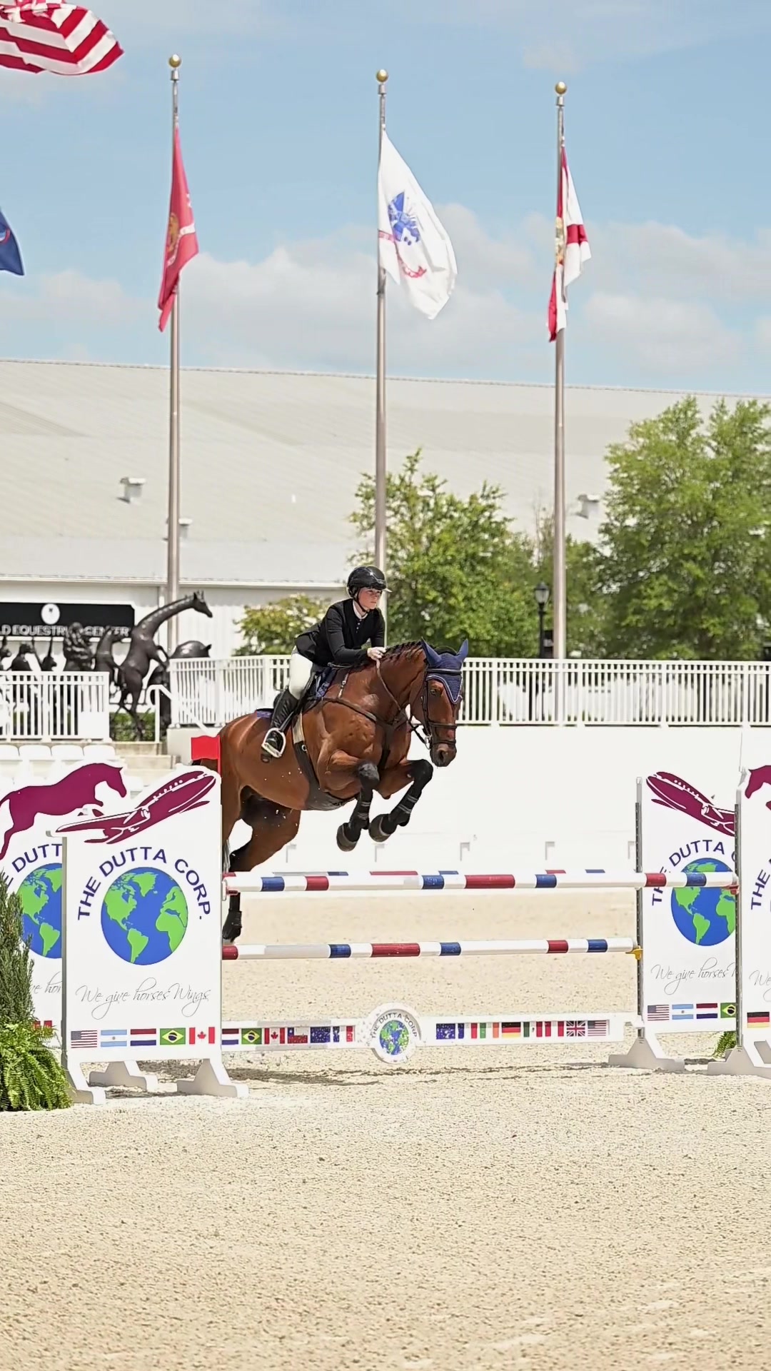 @Free Ride Equestrian
